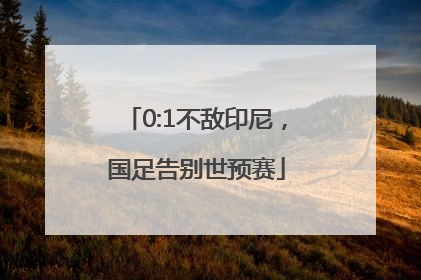0:1不敌印尼，国足告别世预赛