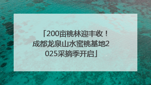 200亩桃林迎丰收！成都龙泉山水蜜桃基地2025采摘季开启