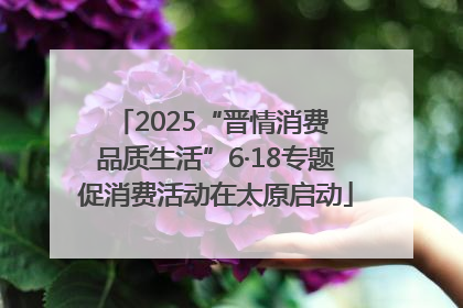2025“晋情消费 品质生活”6·18专题促消费活动在太原启动