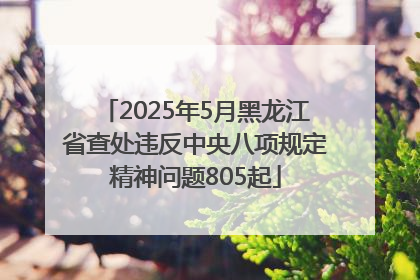 2025年5月黑龙江省查处违反中央八项规定精神问题805起