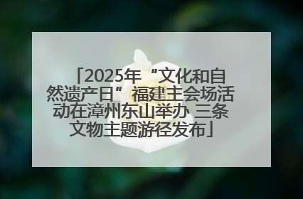 2025年“文化和自然遗产日”福建主会场活动在漳州东山举办 三条文物主题游径发布