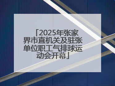 2025年张家界市直机关及驻张单位职工气排球运动会开幕