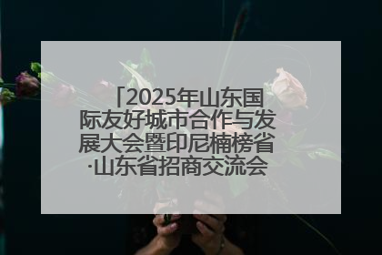 2025年山东国际友好城市合作与发展大会暨印尼楠榜省·山东省招商交流会在济南槐荫举行