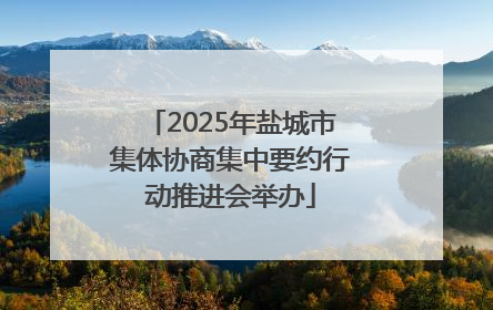 2025年盐城市集体协商集中要约行动推进会举办