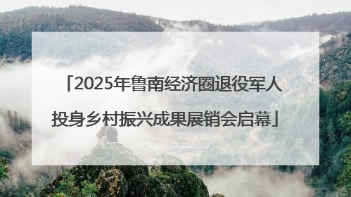 2025年鲁南经济圈退役军人投身乡村振兴成果展销会启幕