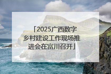 2025广西数字乡村建设工作现场推进会在富川召开