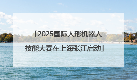2025国际人形机器人技能大赛在上海张江启动