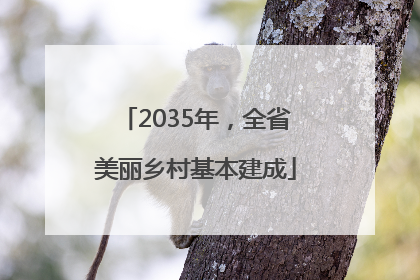 2035年，全省美丽乡村基本建成