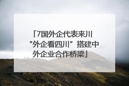 7国外企代表来川 “外企看四川”搭建中外企业合作桥梁