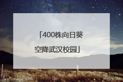 400株向日葵空降武汉校园