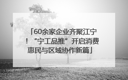 60余家企业齐聚江宁！“宁工品推”开启消费惠民与区域协作新篇