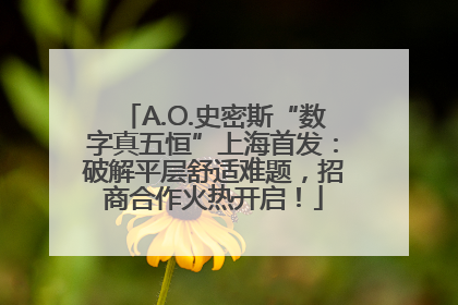 A.O.史密斯“数字真五恒”上海首发：破解平层舒适难题，招商合作火热开启！