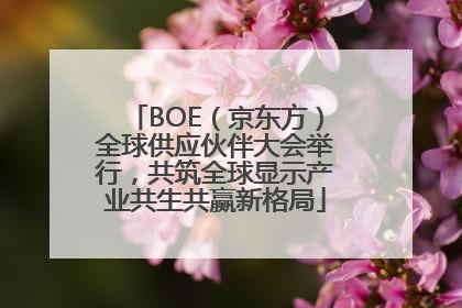 BOE（京东方）全球供应伙伴大会举行，共筑全球显示产业共生共赢新格局