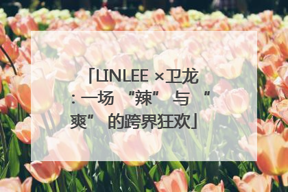 LINLEE ×卫龙：一场 “辣” 与 “爽” 的跨界狂欢