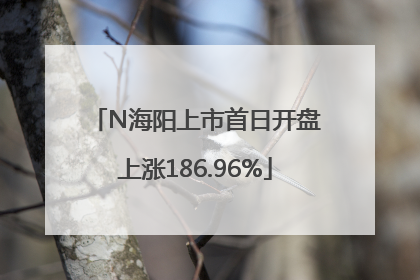 N海阳上市首日开盘上涨186.96%