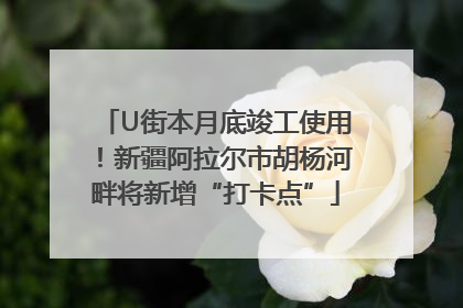 U街本月底竣工使用！新疆阿拉尔市胡杨河畔将新增“打卡点”